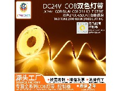 What is the future prospect of COB light strips