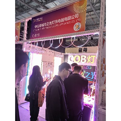 Spring Exhibition of Ancient Town 24 Years 2