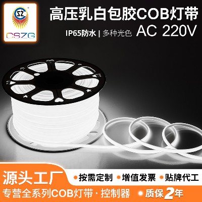 LED flicker free high-voltage light strip, outdoor waterproof high-voltage Cobb light strip, flexible home decoration light strip, LED transparent light strip