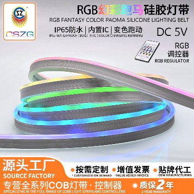 Manufacturer wholesale Colorful Flexible Running Lantern Silicone Light Strip 5V Low Voltage High Brightness Outdoor Home Color Changing Atmosphere Light Strip