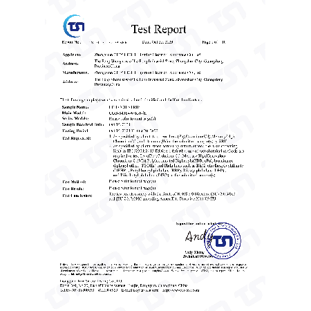ROHS report for light strip