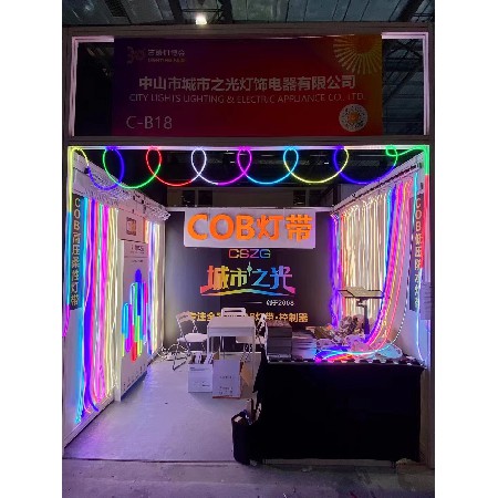 Spring Exhibition of Ancient Town 24 Years 3