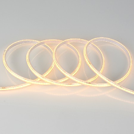 Manufacturer wholesale low-voltage 24V waterproof 2-wire dual color light strip wardrobe cabinet wine cabinet car atmosphere decoration light strip